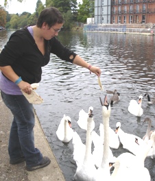 UrsulafeedingSwans.JPG